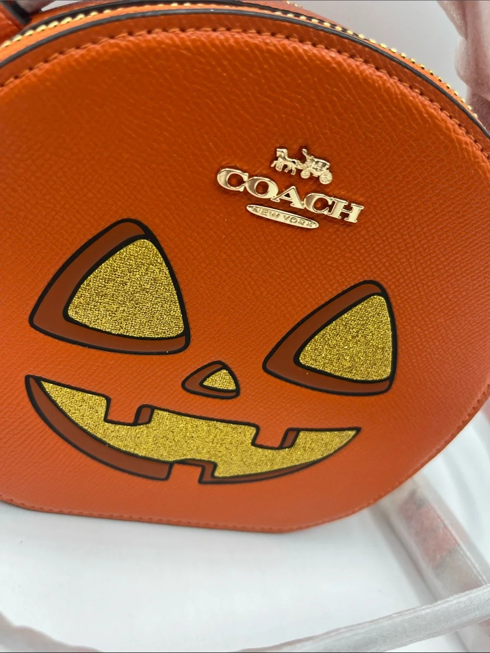 Coach Pumpkin Canteen Crossbody 2024